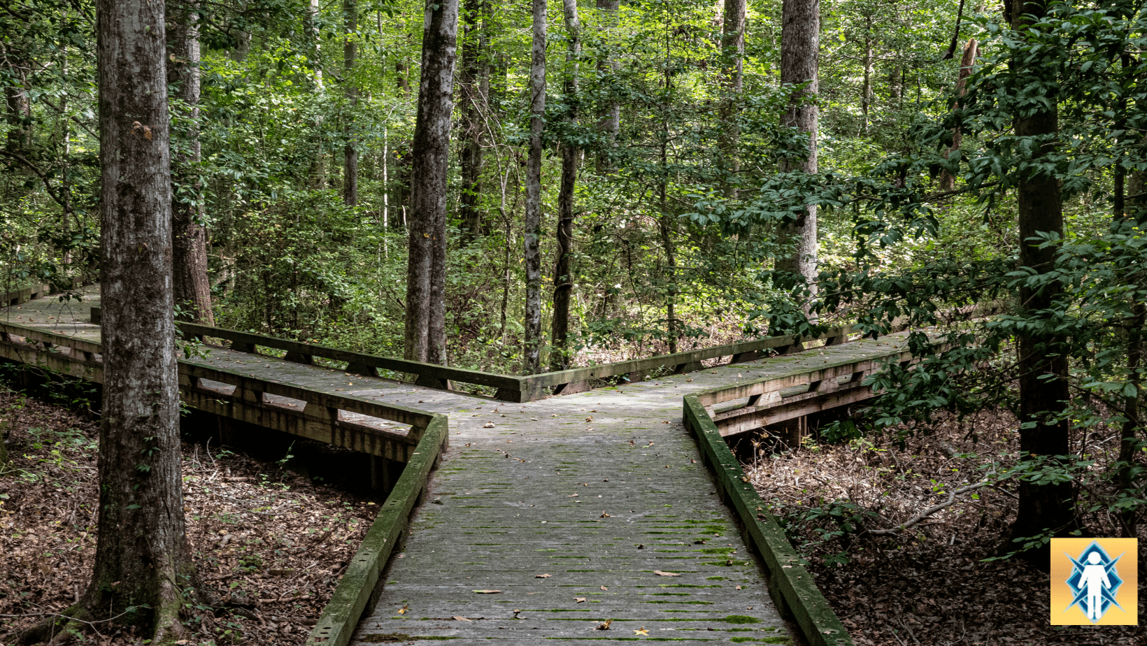 fork in the road