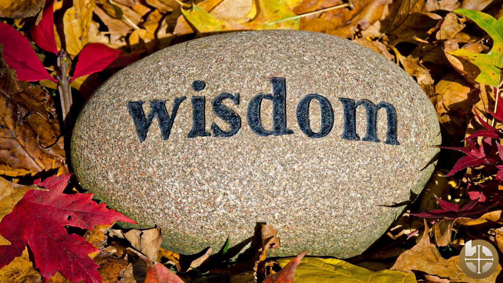 wisdom
