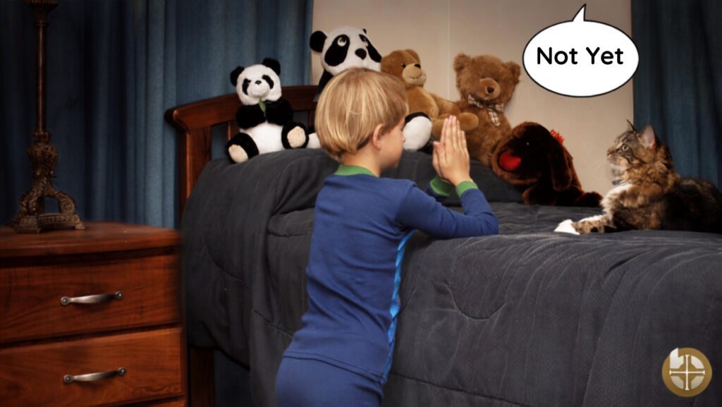 Child praying with stuffed animals and cat.