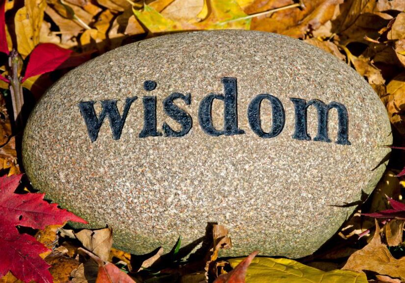 wisdom